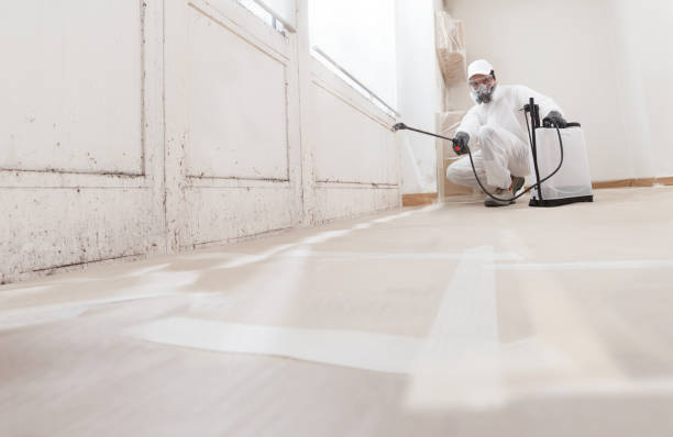 24/7 Emergency Mold Remediation experts in Westover, PA