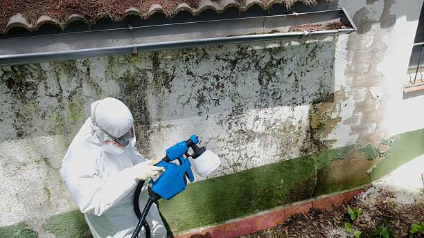 Top rated local Mold Remediation specialists in Westover, PA